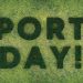 公司 Sports Day 團隊合作